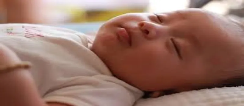Toddler Sleep Toddler Sleep