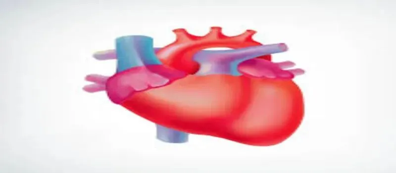 How To Lower Your Risk Of Heart Disease? How To Lower Your Risk Of Heart Disease?