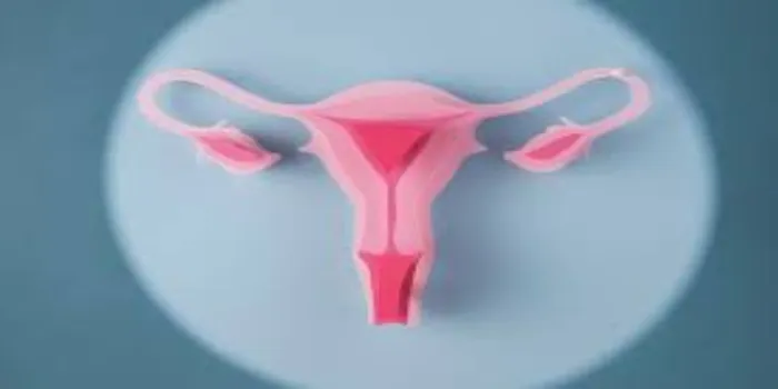 Causes and Symptoms of Bulky Uterus Causes and Symptoms of Bulky Uterus